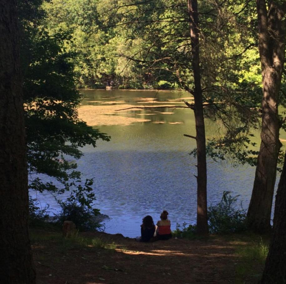 Welcome To Hat City Danbury, A Suburban Retreat Luaran gambar